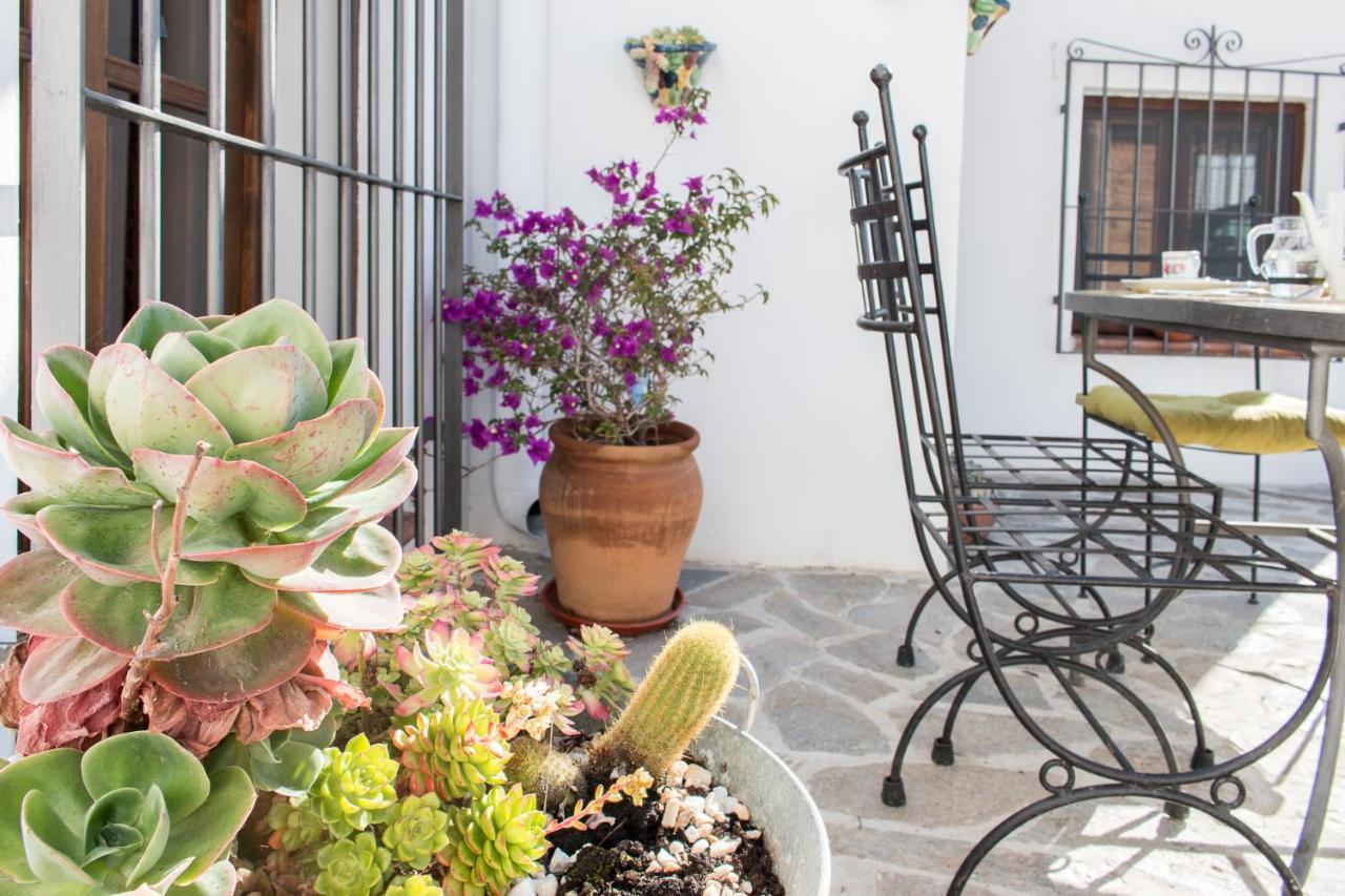 Villa Aurora Nijar Parque Natural Cabo Gata エクステリア 写真