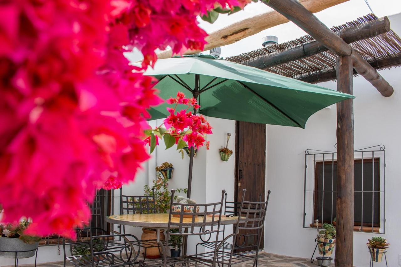 Villa Aurora Nijar Parque Natural Cabo Gata エクステリア 写真