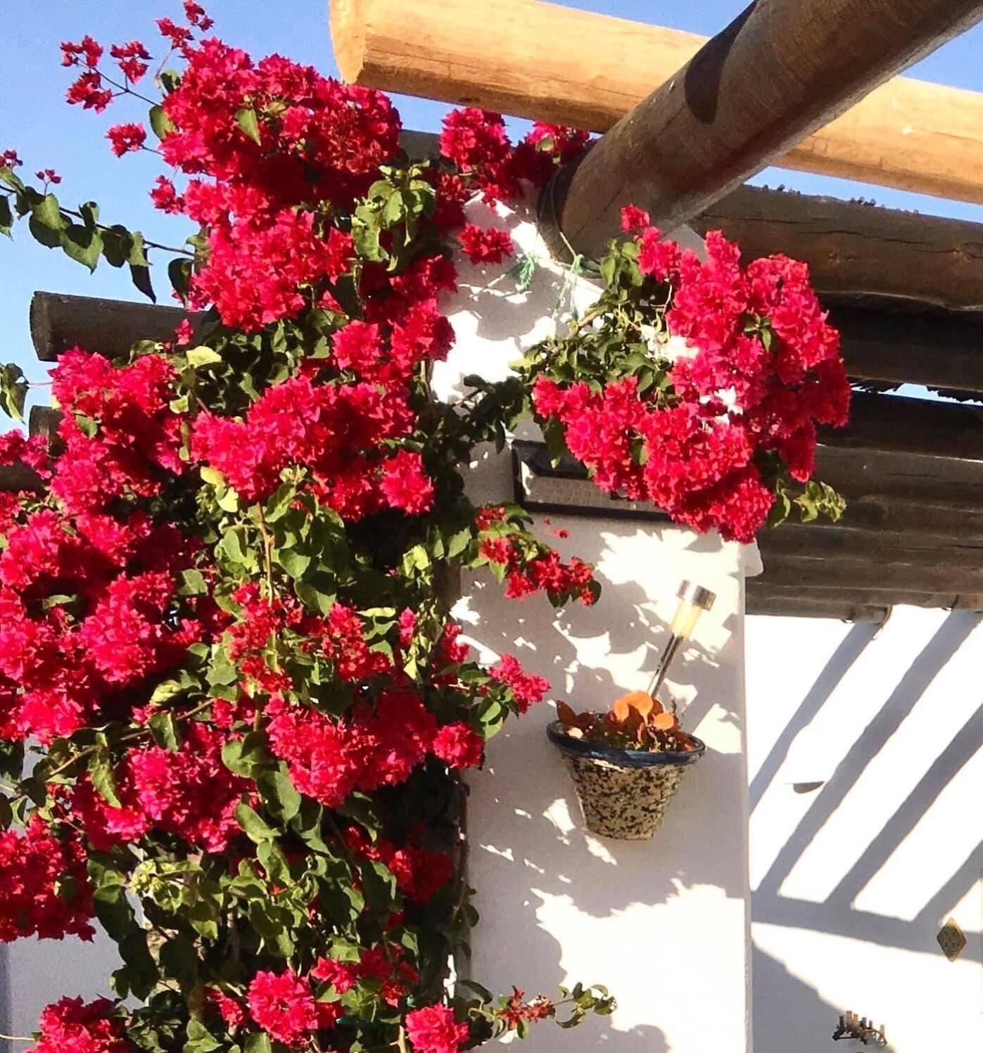 Villa Aurora Nijar Parque Natural Cabo Gata エクステリア 写真