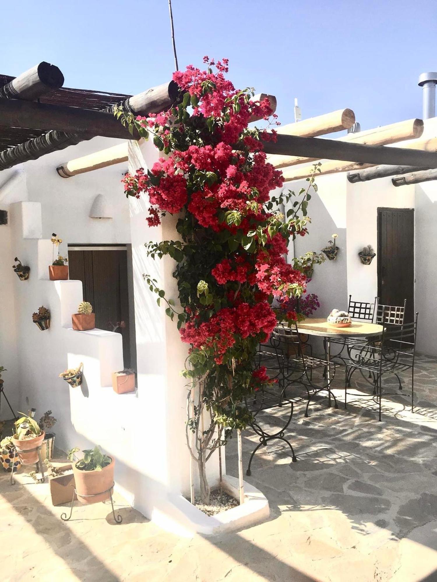 Villa Aurora Nijar Parque Natural Cabo Gata エクステリア 写真